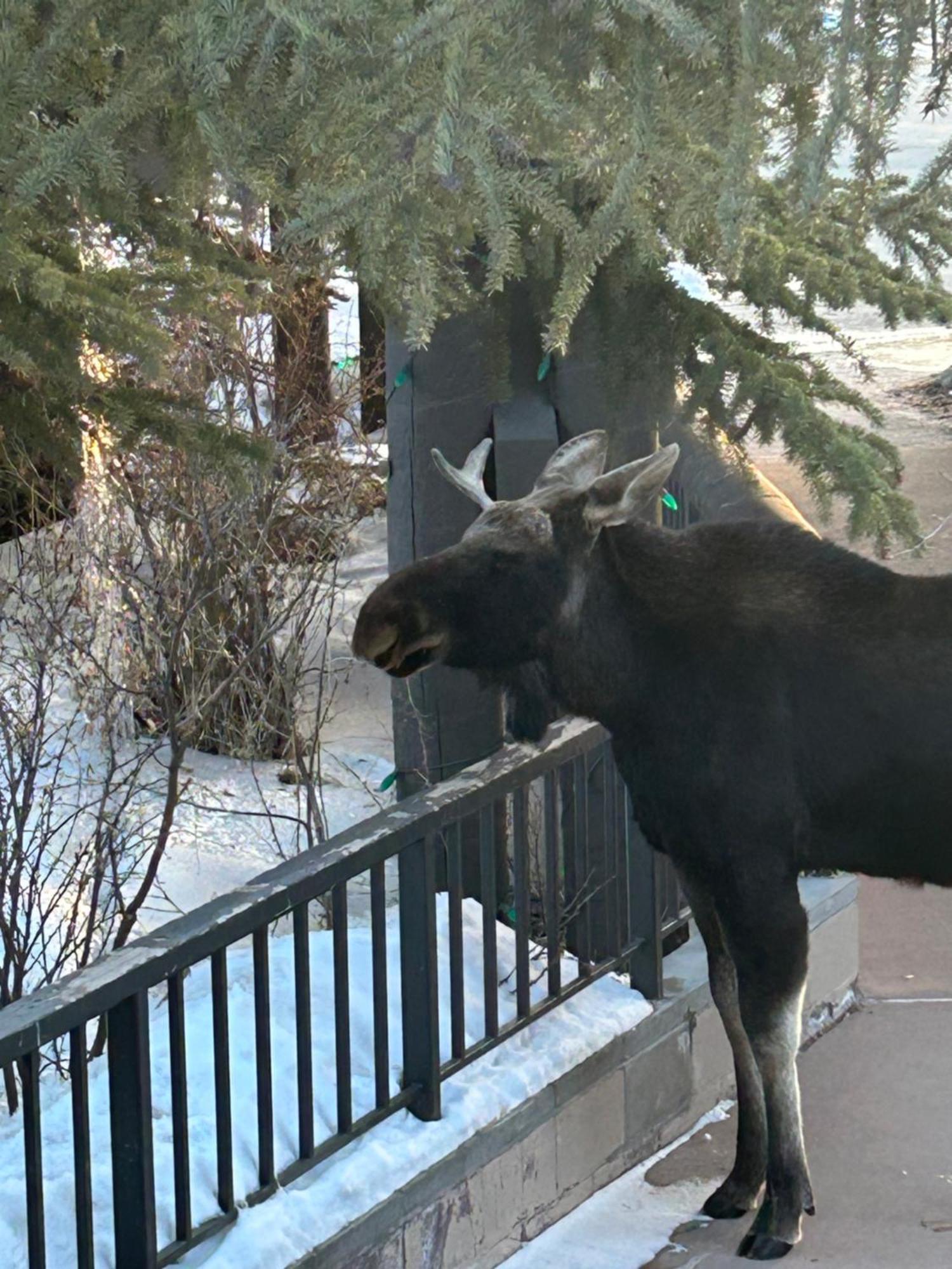 Trappers Crossing 8753 By Summitcove Lodging Keystone Buitenkant foto